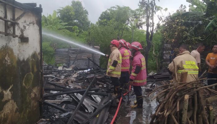 Lalai Bakar Sampah, Dapur Rumah Warga di Pekal Tulungagung Hangus Dilalap si Jago Merah
