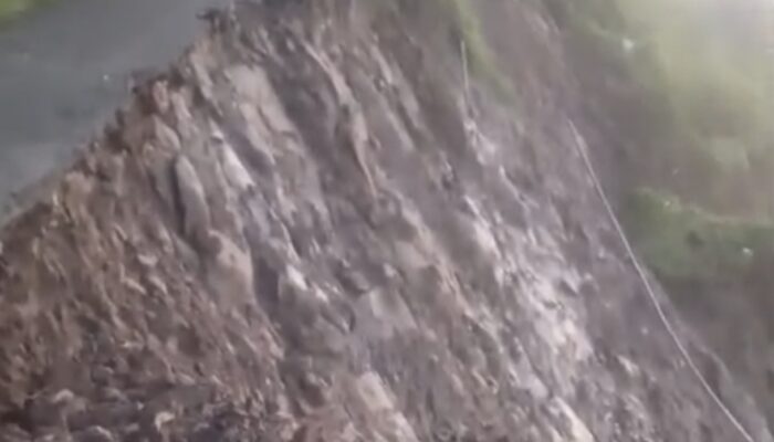 Jalur Vital Rejosari -Kalibatur Tulungagung Putus Total Akibat Longsor