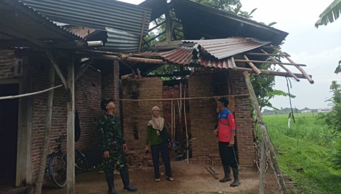 Disapu Puting Beliung, Tujuh Rumah di Karanganom Trenggalek Rusak Parah, Petugas Gabungan Sigap Evakuasi
