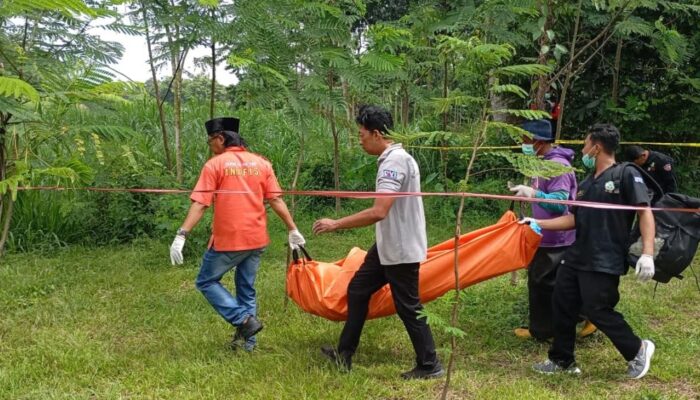 Geger! Warga Gendingan Tulungagung Temukan Mayat Membusuk Tergantung di Perkebunan