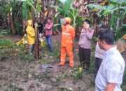 Pohon Trembesi Raksasa Timpa Rumah Warga Bono Tulungagung