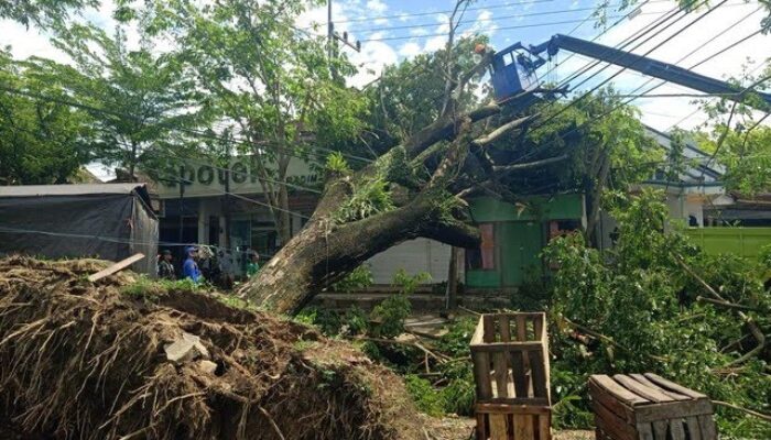Trenggalek Dihantam Tiga Bencana Sekaligus, Akses Trenggalek-Pacitan Sempat Terputus Total!