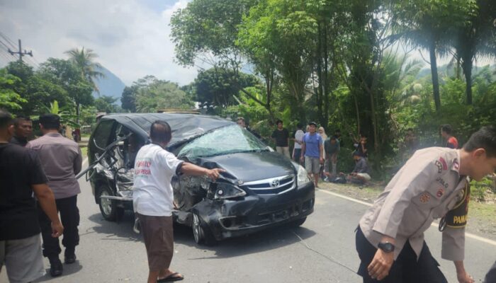 Duel Maut di Jalur Prigi Trenggalek! Avanza Hitam Ringsek Usai ‘Adu Banteng’ Lawan Truk, Kakek 70 Tahun Terjepit Kabin