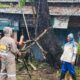 Pohon Besar Tumbang, Jalan Raya Sumbergempol Tulungagung Sempat Lumpuh