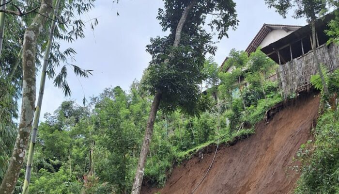 TEBING 20 METER AMBROL! Akses Jalan Desa Geger Sendang Tulungagung Lumpuh Total Tertimbun Longsor