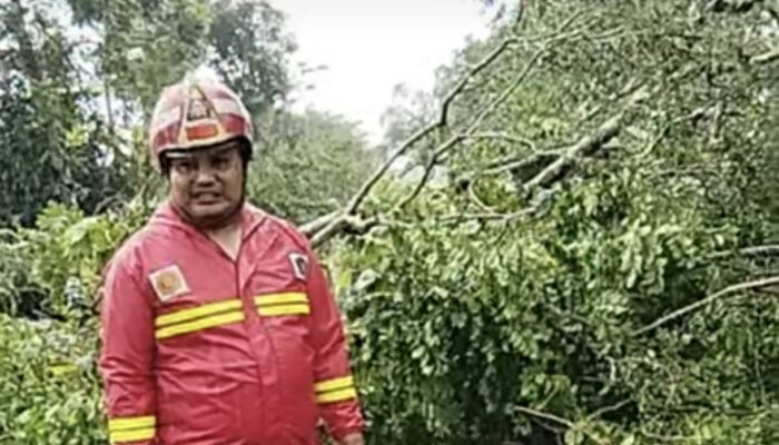 BREAKING NEWS: Jalur Utama Tulungagung–Kediri Lumpuh Total, Pohon Tumbang Timpa Kabel di Utara RS Putra Waspada
