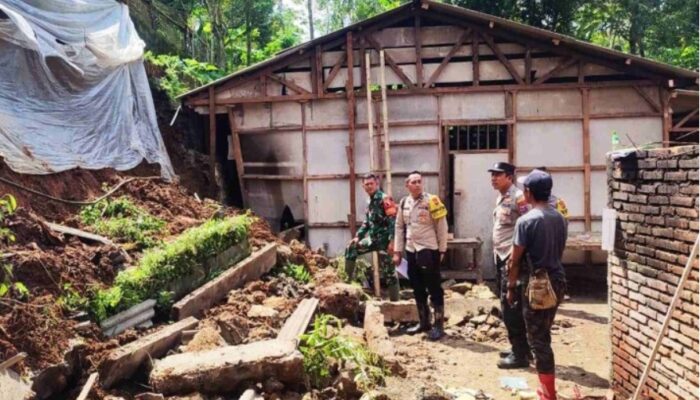 Tebing 8 Meter Longsor di Pule Trenggalek, Rumah Warga Desa Jombok Rusak Parah