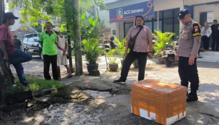 Heboh Temuan Kotak Misterius di Pinggir Jalan Tulungagung–Kediri, Polisi: Isinya Ternyata Daging Fillet