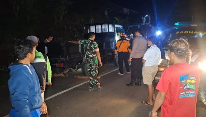 Kecelakaan Beruntun di Ngawi: Truk Gagal Nanjak Mundur Hantam Mobil dan Motor, Satu Orang Meninggal