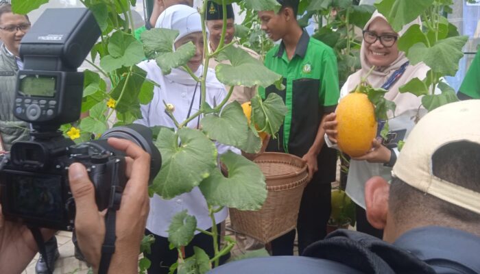 Keripik Kulit Patin SMKN 1 Tulungagung Dilirik Gubernur, Ning Fadillah: Ini Buah Dedikasi Siswa Program SIKAP
