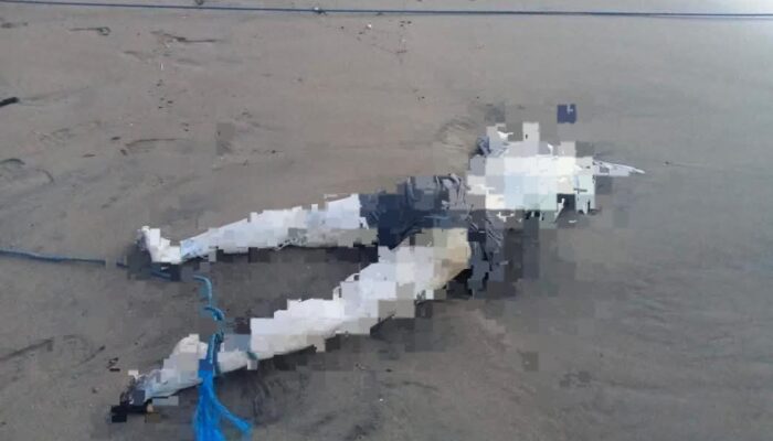 Penemuan Jenazah Wanita Berdarah-darah di Pantai Sine Tulungagung, Polisi Ungkap Misteri Tali di Kaki