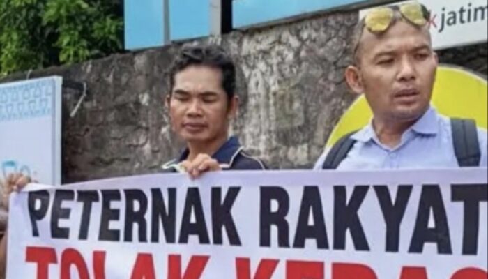 Protes Investor Asing, Peternak Ayam di Tulungagung Bagikan Telur Gratis