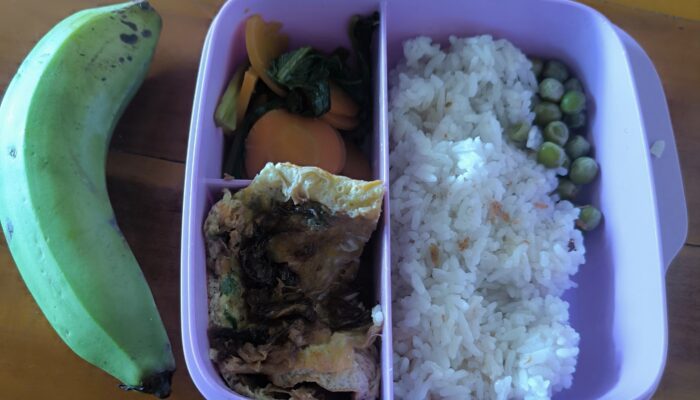 Geger! Menu Makan Bergizi Gratis di Tulungagung Disebut ‘Tak Manusiawi’, Wali Murid Ngamuk Dikasi Pisang Mentah