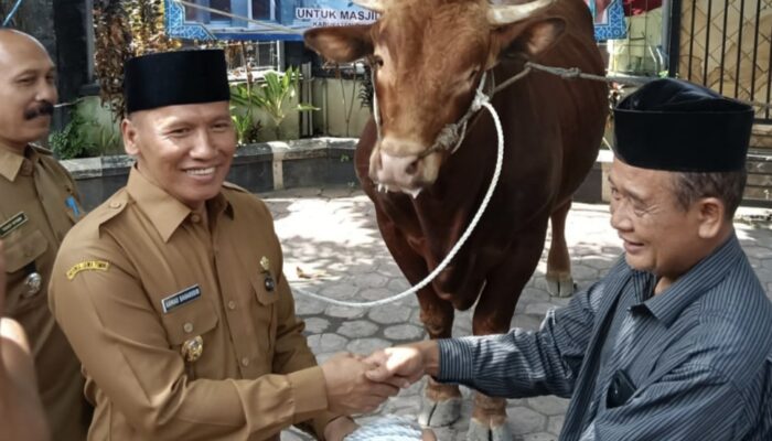 Presiden Prabowo Sumbang Sapi Kurban 1,1 Ton untuk Warga Boyolangu Tulungagung