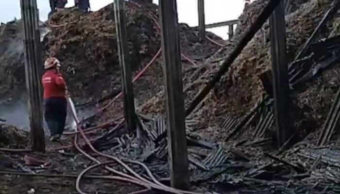 Amukan Si Jago Merah Lumat Pabrik Gilingan Gula di Sumbergempol Tulungagung, Petugas Berjibaku Bongkar Tumpukan Sepah Tebu