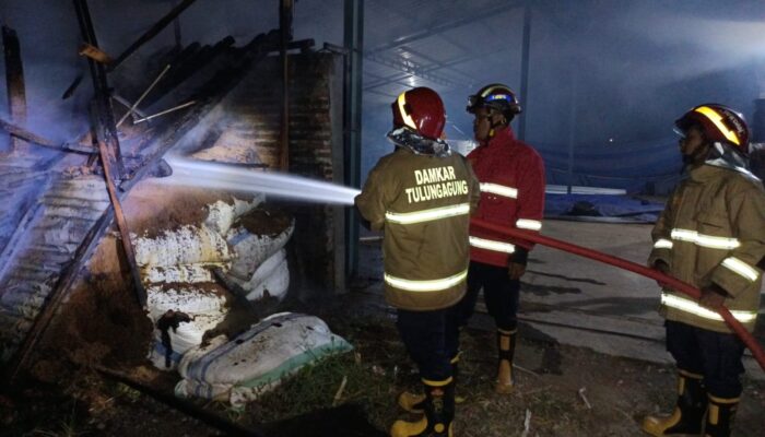 Gara-Gara Puntung Rokok, Gudang Tembakau di Waung Tulungagung Terbakar Tengah Malam