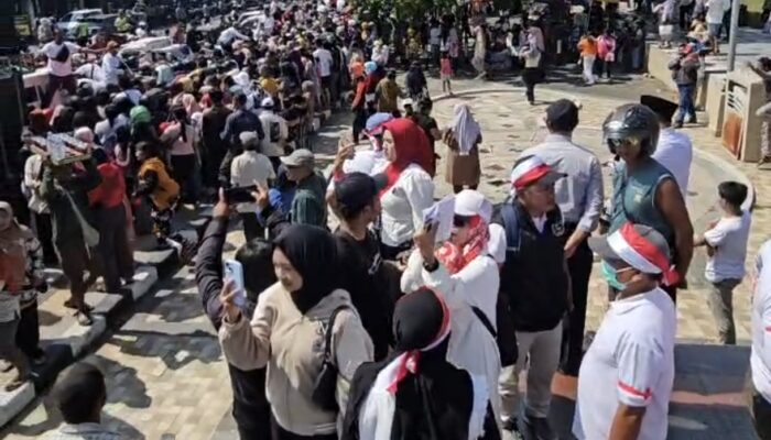 Nestapa Sentra Telur Nasional: Alasan Peternak Blitar Bagi 1 Juta Telur Gratis dan Tolak Korporasi Besar