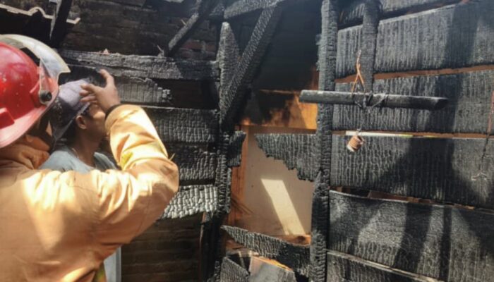 Dapur Rumah Warga Trenggalek Ludes Dilalap Api Saat Rebus Daging, Dipicu Gas LPG Bocor!
