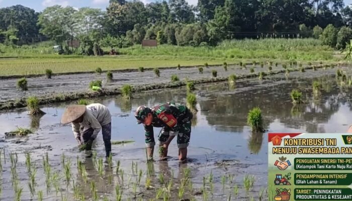 Sinergi di Sawah, Cara TNI di Kabupaten Tulungagung Motivasi Petani Lokal Agar Mandiri Pangan