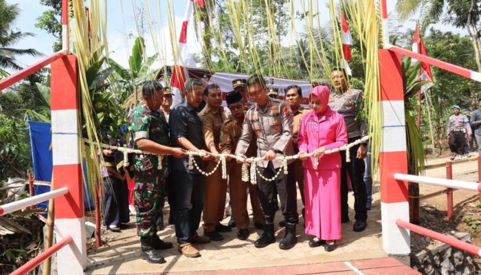Hemat Waktu Warga, Jembatan Penghubung Antar Desa di Jombok Trenggalek Rampung Dibangun