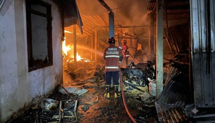 Kebakaran di Sendang Tulungagung: 6 Ekor Kambing dan 1 Ton Gabah Hangus Akibat Api Diang