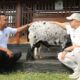Dari LASKAR Farm, Irfan Hakim Mengajarkan Arti Kasih Sayang kepada Sesama Makhluk Hidup