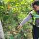 Hilang Konsentrasi, Guru Asal Tulungagung Meninggal Usai Motor Terperosok Jurang di Suruh Trenggalek