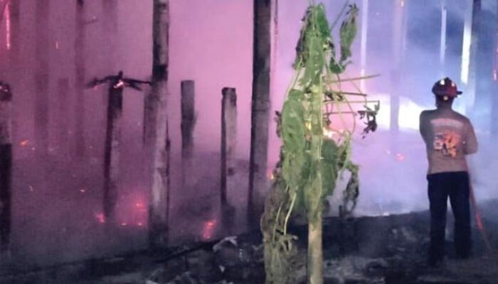 Kandang Ayam di Kedungwaru Tulungagung Ludes Terbakar, 3.100 Ekor Ayam Mati Panggang