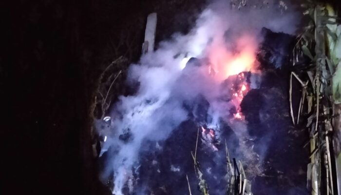 Lahan Sepah Tebu di Rejotangan Kabupaten Tulungagung Terbakar, Kerugian Capai Rp 30 Juta
