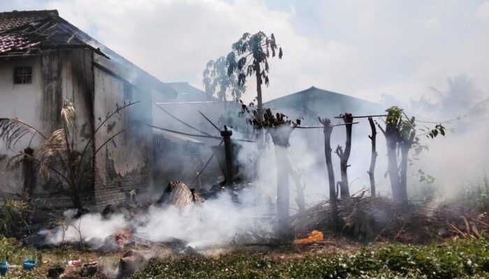 Ditinggal Kerja Usai Bakar Sampah, Dapur dan Kandang Ayam Warga di Tulungagung Ludes Terbakar
