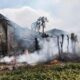 Ditinggal Kerja Usai Bakar Sampah, Dapur dan Kandang Ayam Warga di Tulungagung Ludes Terbakar
