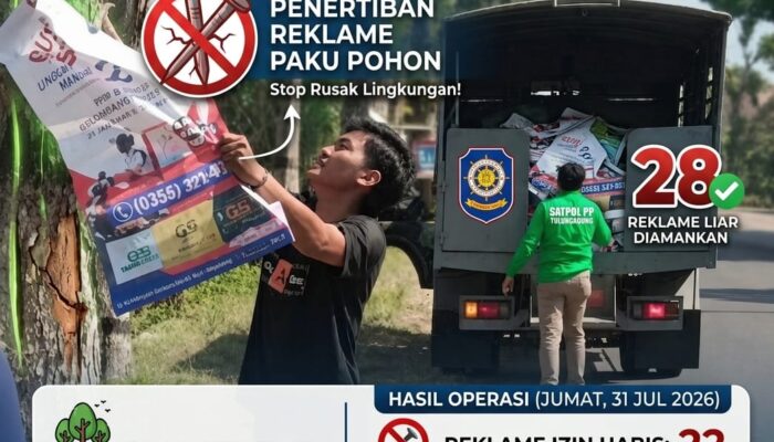 Satpol PP Tulungagung Copot Puluhan Reklame Liar, Pelaku Usaha Diimbau Tak Paku Pohon