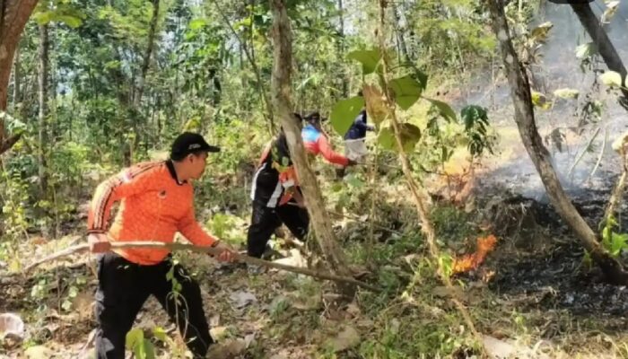 Angin Kencang Picu Karhutla Baru di Gunung Sawe Trenggalek, Total Kasus Capai 13 Kali