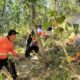 Angin Kencang Picu Karhutla Baru di Gunung Sawe Trenggalek, Total Kasus Capai 13 Kali