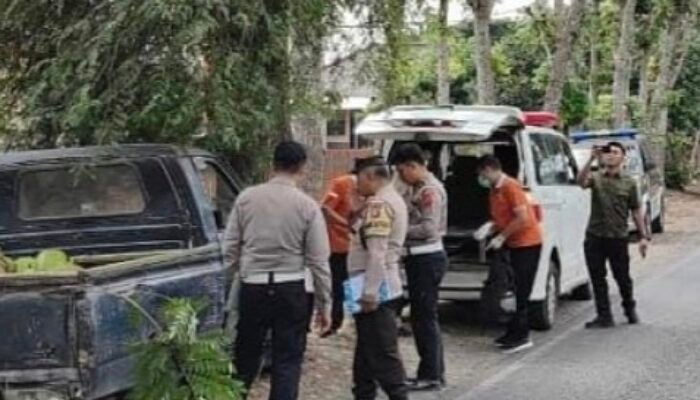 Tragis ! Kakek di Tulungagung Tewas Usai Isuzu Panther Tabrak Pohon Asem