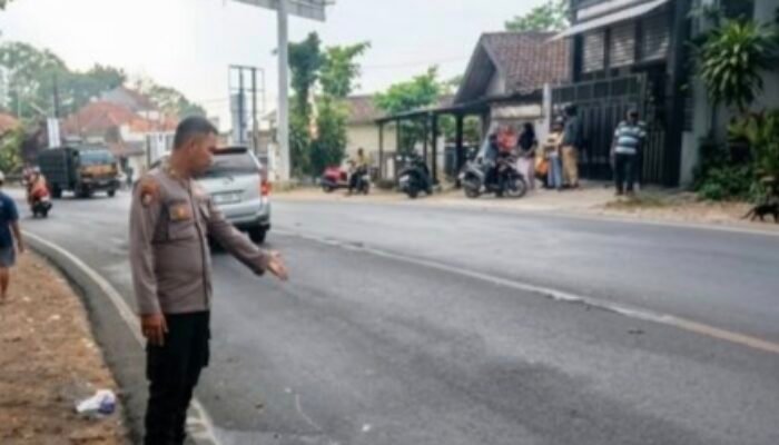 Motor Oleng di Tikungan Durenan Trenggalek, Pengendara Asal Sidoarjo Tewas Adu Banteng