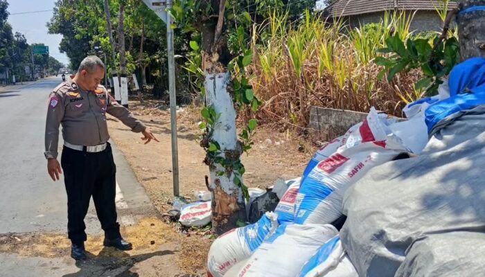 Truk Isuzu Tabrak Pohon di Ngantru Tulungagung, Dua Orang Alami Luka Ringan