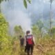 Hutan Pine dan Cengkeh di Dongko Trenggalek Terbakar! Petugas Berjibaku Tembus Medan Curam