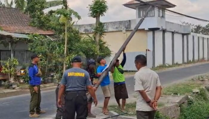 Tegas! Satpol PP Tulungagung Robohkan dan Sita Tiang Fiber Optik Ilegal