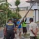 Tegas! Satpol PP Tulungagung Robohkan dan Sita Tiang Fiber Optik Ilegal