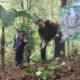 Atasi Kekeringan di Watulimo, Kapolres Trenggalek Blusukan Salurkan Air Bersih dan Tanam Pohon Beringin